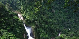 ทุ่งเขาแหลม