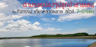 ปลูกป่าชายเลน