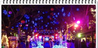 ส่งท้ายปีเก่า ต้อนรับปีใหม่ 2556 กับคอนเสิร์ตรักในสายลมหนาว