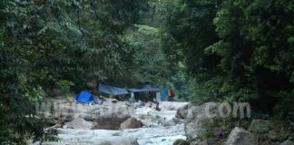 เส้นทางดอกไม้และสายน้ำจากผาเหยียบเมฆสู่อ้ายเขียว