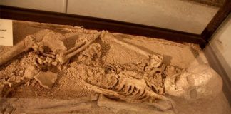 พระนารายณ์ราชนิเวศน์ สมเด็จพระนารายณ์