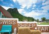 Swiss Sheep Farm ฟาร์มแกะท่ามกลางหุบเขาแห่งความรัก