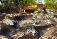 เส้นทางแห่ง สายหมอกและดอกไม้ เขาค้อ-ภูหินร่องกล้า