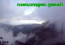 ทะเลหมอกฤดูฝน ภูแผงม้า