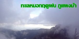 ทะเลหมอกฤดูฝน ภูแผงม้า