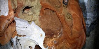 มหัศจรรย์ถ้ำพุงช้าง