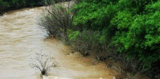 ลำน้ำเข็ก