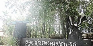 ล่องแก่งหนานมดแดง