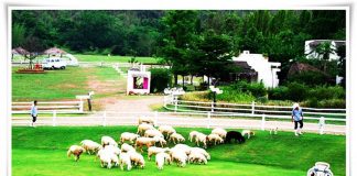 ปู๊น ปู๊น … รถไฟมาแล้วจ้า ” น้องครึกครึ้นชวนเที่ยว … สวนผึ้ง “