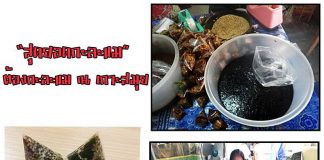 สุดยอดกะละแม บนเกาะสมุย