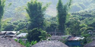 หมู่บ้านจีนยูนานปาย