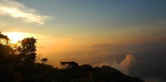 ยอดหกพูป่าอุทยานแห่งชาติเขานัน นครศรีธรรมราช