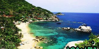 เที่ยวเกาะเต่า