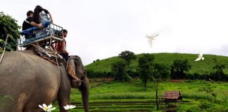 บ้านกะเหรี่ยงรวมมิตร