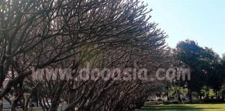 ขี่จักยานชมวิว ชิลล์เมืองน่าน