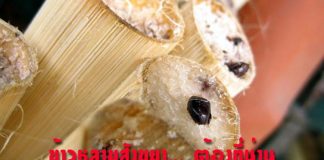 ข้าวหลามไส้สังขยาแม่พะยอม ของดีเมืองน่าน