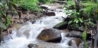 เดินเท้าเข้าชมน้ำตกขุนกรณ์จังหวัดเชียงราย