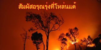 ภูหลวงจังหวัดเลย:สัมผัสอรุณรุ่งที่โหล่นแต้