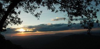 ภูหลวงจังหวัดเลย:หนาวนี้ที่โคกนกกระบา ป่าภูหลวง