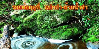 ภูหลวงจังหวัดเลย:รอยต่อฤดูที่ แปกดำ-ห้วยน้ำดำ