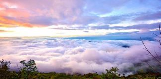 เที่ยวเลยสบายๆ 2 คืน 3 วันกับดูเอเซีย.คอม