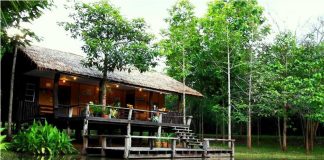 เที่ยวเชียงคาน นอนค้างภูเรือ ความสุขล้นเหลือที่สวนชัชนาถ