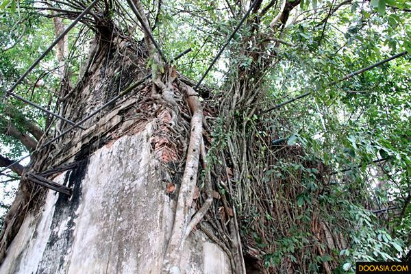 wat-bangkung (42)