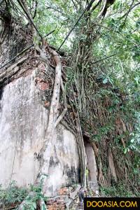 wat-bangkung (43)