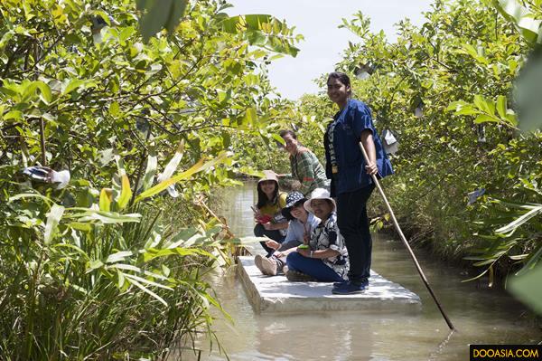 พายเรือเก็บฝรั่ง