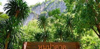 หุบป่าตาด