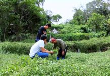 เที่ยวรอบเมืองเบตง1/5 สมุดโคจร