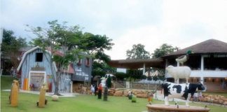 เทศกาล ความรักต้อนรับบรรยากาศความหนาว