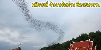 มหัศจรรย์ ค้างคาวร้อยล้าน ที่เขาช่องพราน