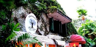 ร้านทรีครีปเปอร์ นกน้อยผู้ทรงเสน่ห์