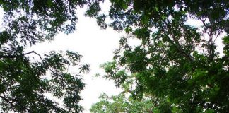 เที่ยวชมมรดกโลกของไทย ที่อุทยานประวัติศาสตร์กำแพงเพชร จังหวัดกำแพงเพชร